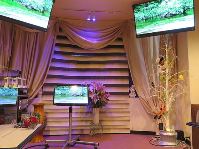 サルビア 小岩の写真1