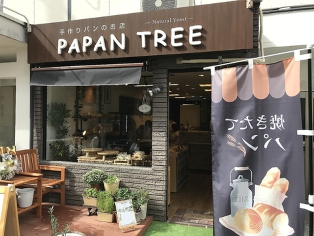 PAPAN TREE パパンツリーの写真1