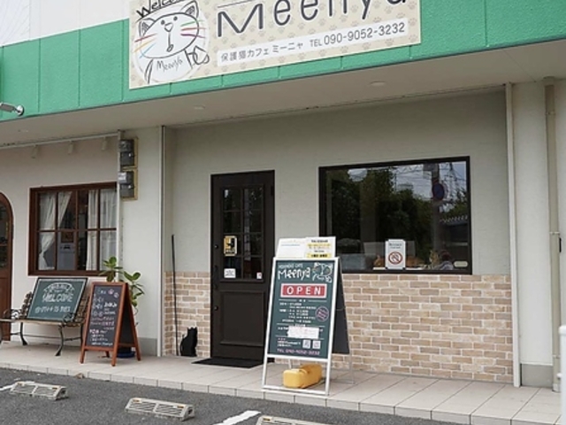 保護猫cafe Meenyaの写真1