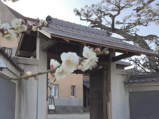 RISAIA CODA 田尻歴史館 カフェとレストランの写真1