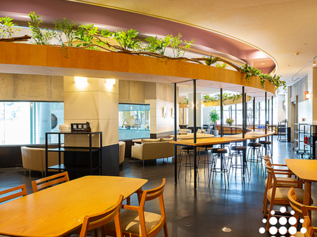 Keyaki no Mori CAFE & ARTS ケヤキノモリ カフェアンドアートの写真1