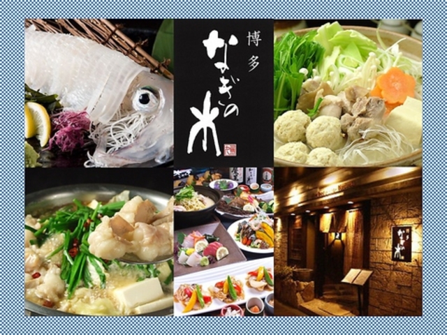 博多もつ鍋 水炊き なぎの木 中洲川端店の写真1