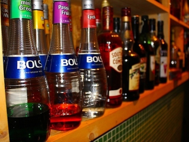 サボテン ブラザーズの写真1