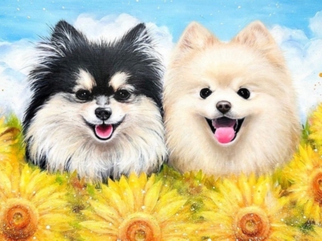 ごはん家PUALA プアラの写真1