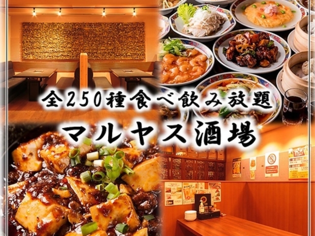 居酒屋 マルヤス酒場プラス 関内店の写真1