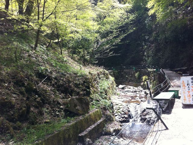 千早川マス釣場