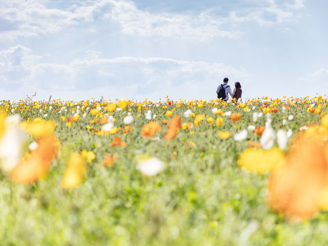 とっとり花回廊