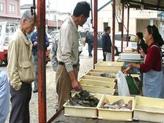 深日漁港魚市場の写真1