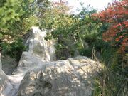 砂川奇勝の写真2