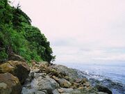 長松・小島海岸の写真1