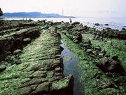 長松・小島海岸の写真2