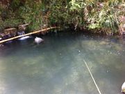 千早川マス釣場の写真1