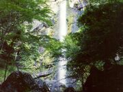 まぼろしの滝の写真1