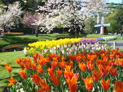 とっとり花回廊の写真3