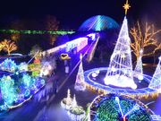 とっとり花回廊の写真4