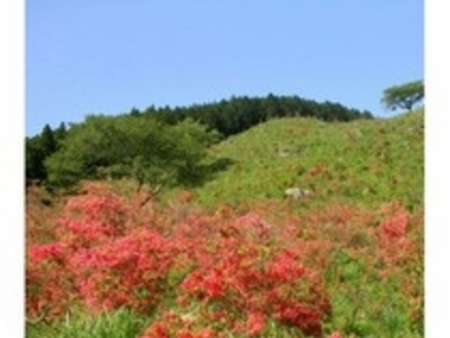 長者ヶ原山ツツジ公園の写真1