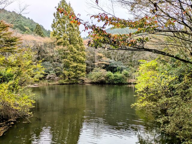 原生の森公園の写真1