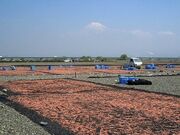 富士川河川敷(桜えび干し場)の写真2