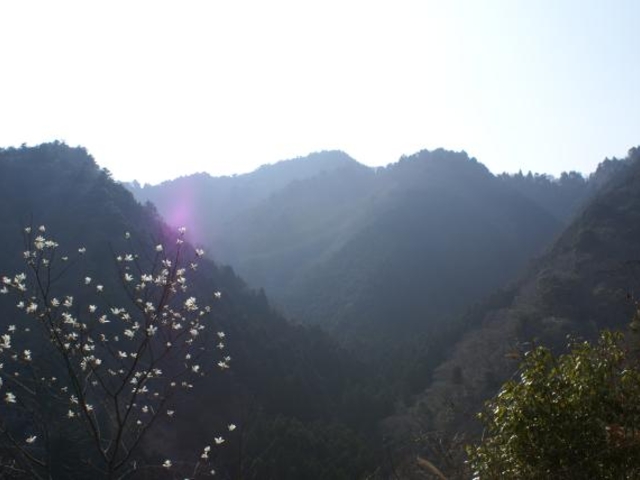 笠形山