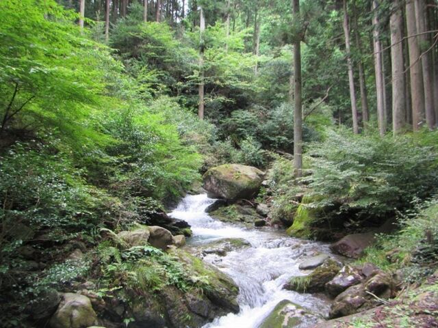 笠形山