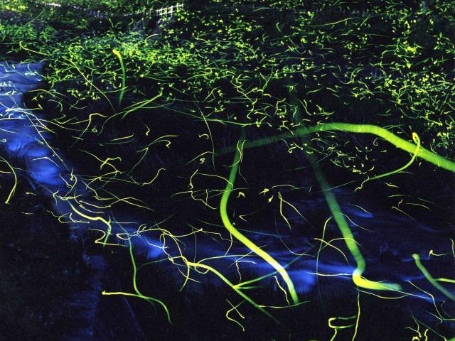 犬見川・市川の写真1