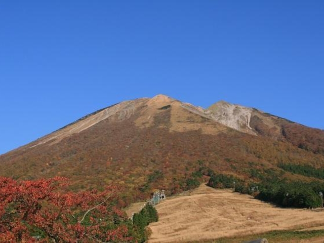 桝水高原の紅葉