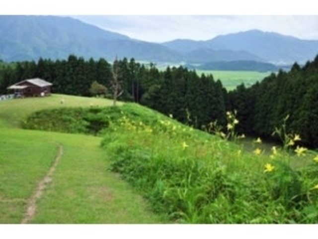 船平山/ゆうすげ