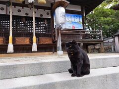 紀伊国 鹿島神社の写真1