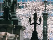 一般社団法人中央区観光協会の写真2