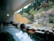 東山温泉「ラドンの湯」(フォレストステーション波賀内)の写真1