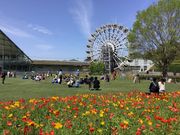 やまぐちフラワーランドの写真2