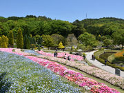 やまぐちフラワーランドの写真3