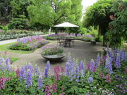 やまぐちフラワーランドの写真4