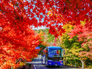 小豆島交通株式会社の写真2