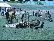 海遊ふれあいパーク干潟体験場の写真1
