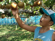 松尾観光梨園の写真2