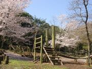 弁天山公園の写真2