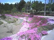 蛇ノ尾公園の写真1