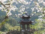 冠岳花川砂防公園の写真2