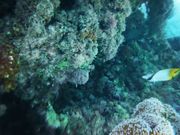 有限会社 久米島エスコートツアーズの写真2