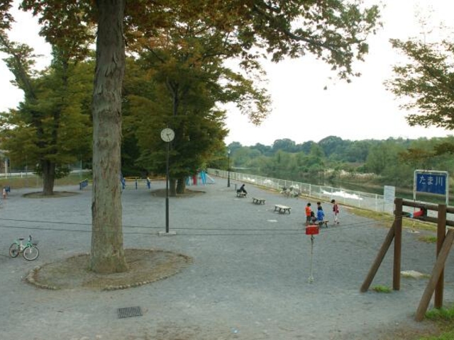 多摩川緑地福生柳山公園の写真1