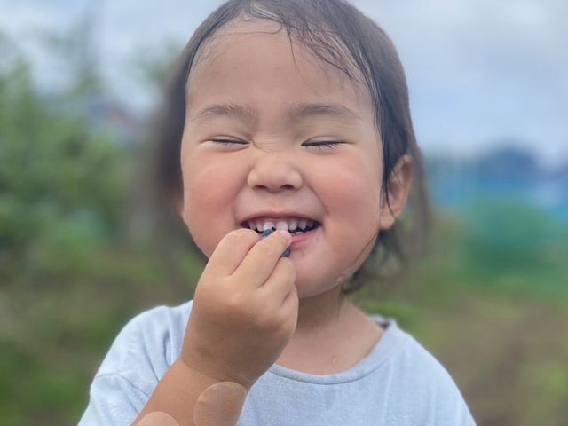 無農薬で安心してぱくぱく食べられます。_ごきげんブルーベリーファーム