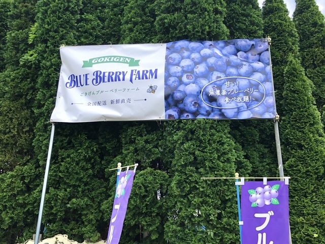 この看板が目印です。_ごきげんブルーベリーファーム