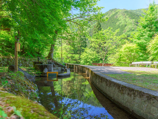 自然に囲まれたふれあいの森_飛騨小坂 ふれあいの森 キャンプ場