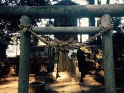 六所神社の写真2