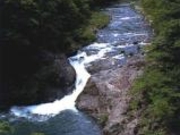 塩原渓谷 歩道 やしおコースの写真1