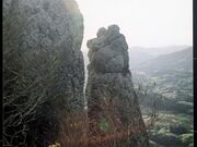 伊予ヶ岳山頂の写真1