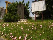 前田普羅の句碑の写真1