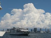 東京湾シンフォニークルーズの写真4