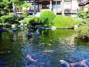 清岩院の写真1